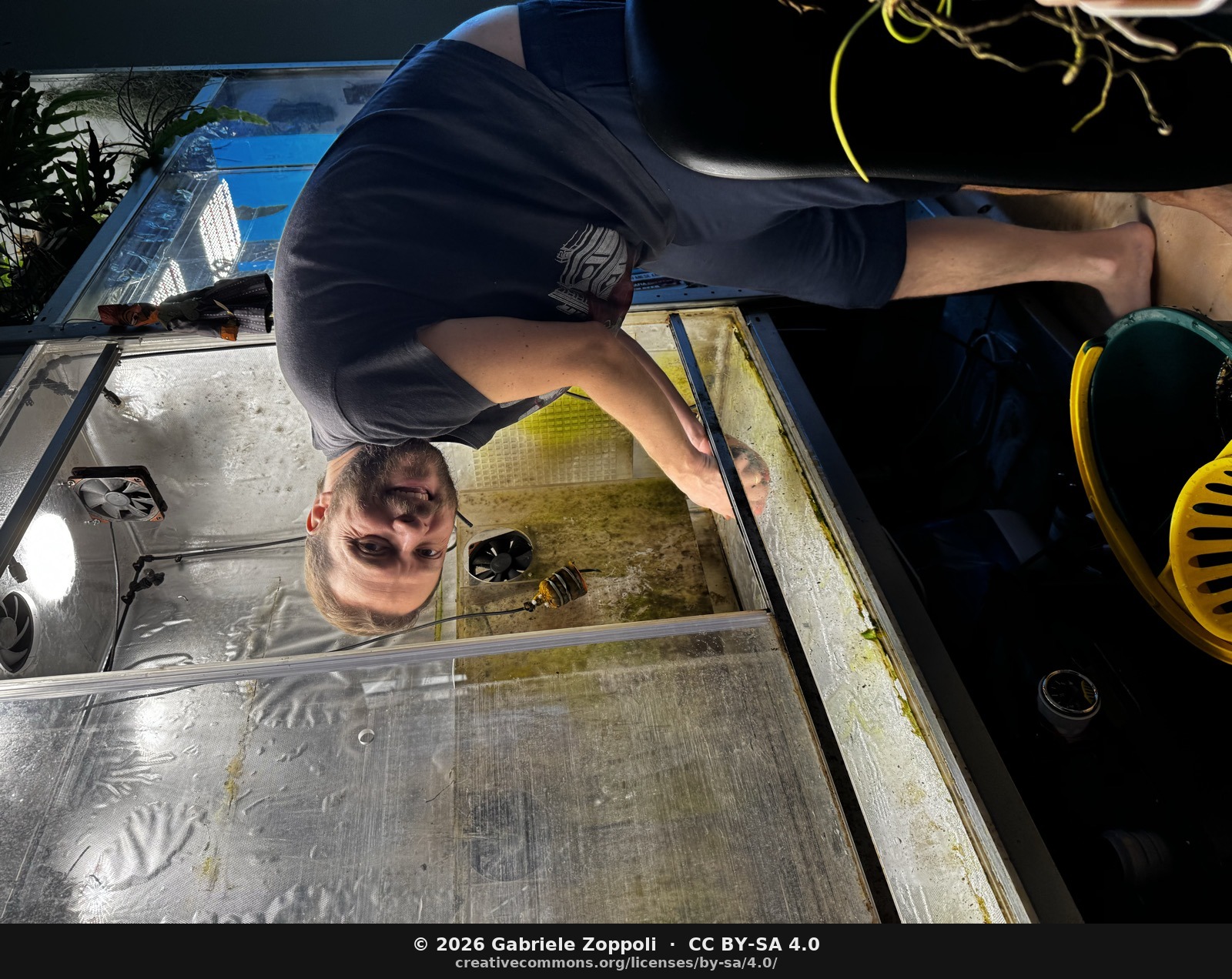 Starting the scrub-down. The cable swap had been a ten-minute job; the bulk of the time was here — Physan and a sponge across every surface.