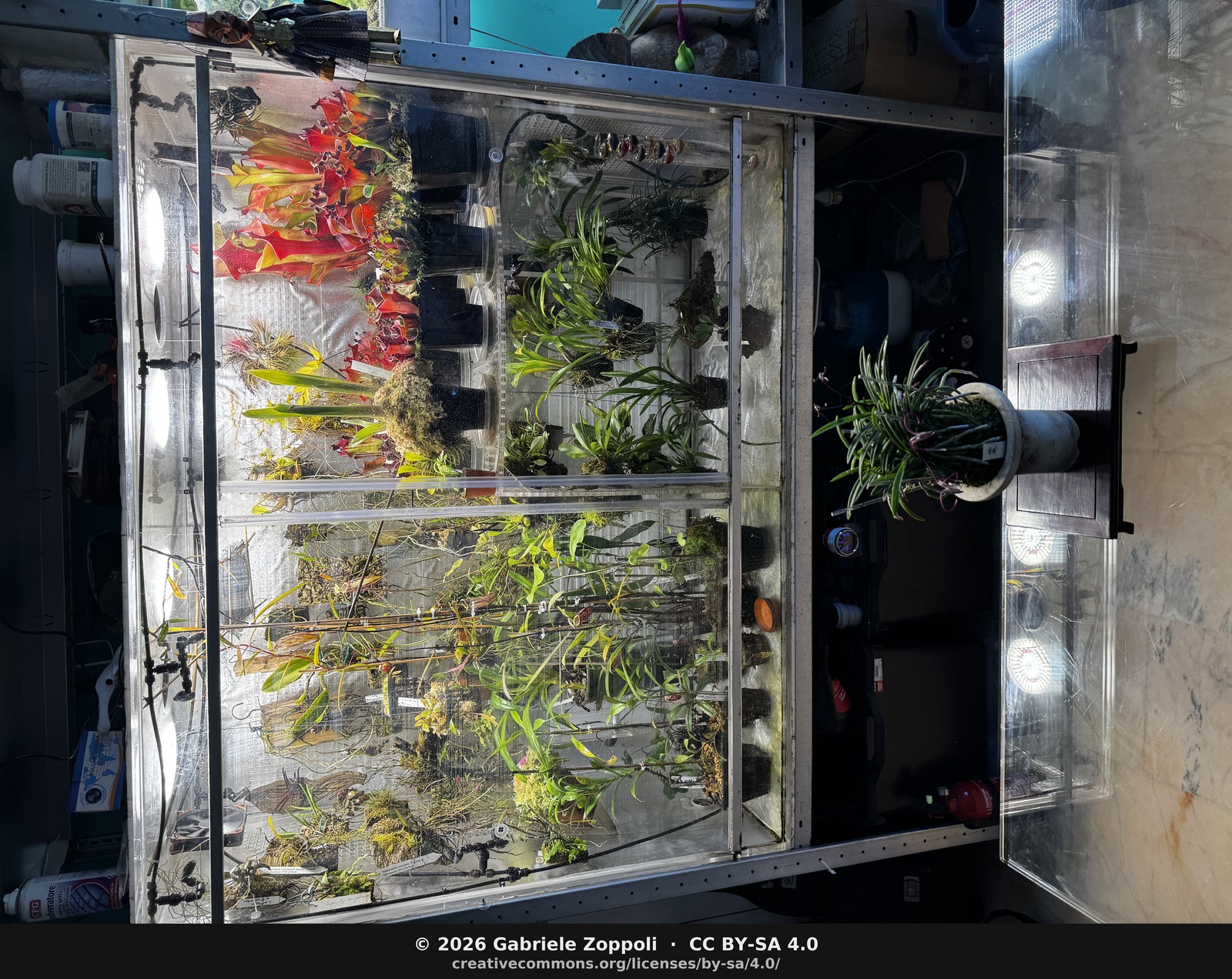 Highland terrarium